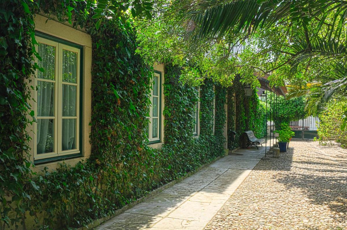 Casa Do Foral Vendégház Rio Maior Kültér fotó
